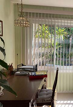 Living Room Vertical Blinds, Monte Sereno